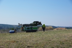 IMGP2183